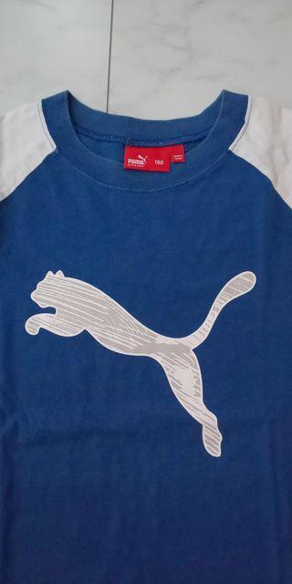 プーマ☆Tシャツ☆150 < ブランド プーマ☆Tシャツ☆150 < ブランドの