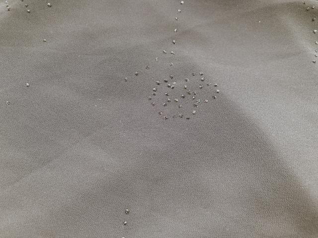 フィッシュテール 変形裾 フロッキー スカート タイト フォーマル F N2m < 女性ファッション  フィッシュテール 変形裾 フロッキー スカート タイト フォーマル F N2m < 女性ファッションの