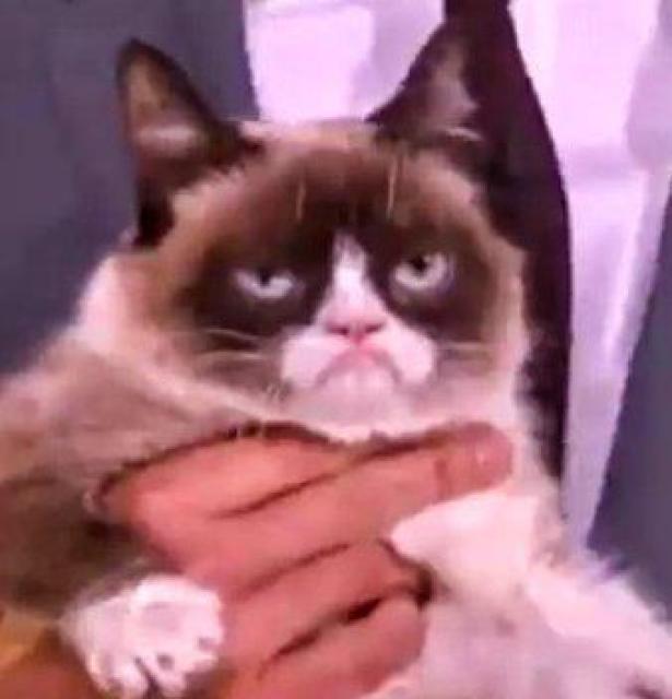 ʂݔL Os[Lbg Grumpy Cat ~jXgbvyGUND Khz s@ȔL lR ObY ӂӂ   