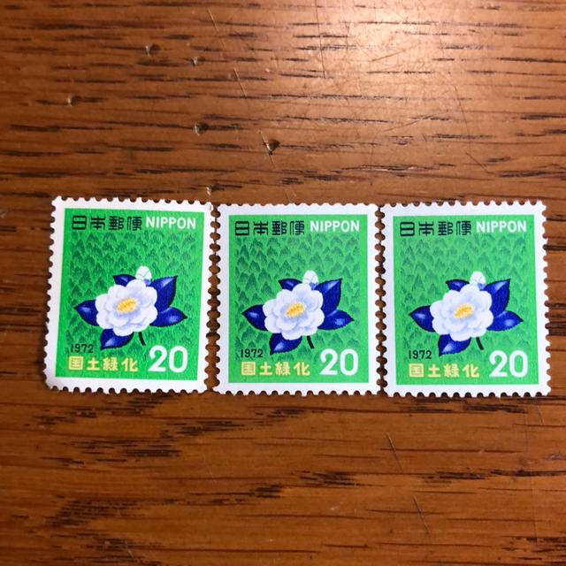 863���������L�O�؎�60�~��(20�~�؎�)  �� �z�r�[�� 