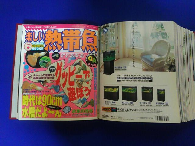 楽しい熱帯魚 '96/6〜'97/5 12冊 白夜書房 < ペット/手芸/園芸 楽しい熱帯魚 '96/6〜'97/5 12冊 白夜書房 < ペット/手芸/園芸の