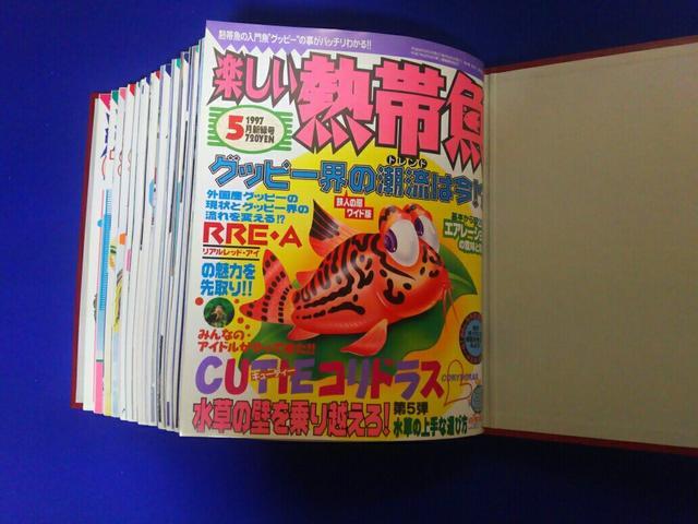 楽しい熱帯魚 '96/6〜'97/5 12冊 白夜書房 < ペット/手芸/園芸 楽しい熱帯魚 '96/6〜'97/5 12冊 白夜書房 < ペット/手芸/園芸の