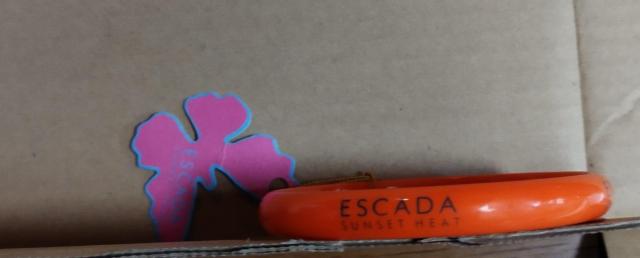ESCADA SUNSET HEAT ロゴ オレンジ ブレスレット バングル ノベルティ < 女性アクセサリー/時計  ESCADA SUNSET HEAT ロゴ オレンジ ブレスレット バングル ノベルティ < 女性アクセサリー/時計の
