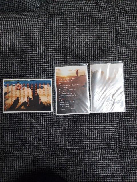 䂤pPbg݁|XgJ[h3Zbg   zr[ 