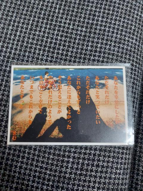 䂤pPbg݁|XgJ[h3Zbg  zr[ 