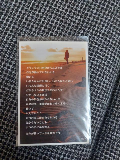 䂤pPbg݁|XgJ[h3Zbg  zr[ 