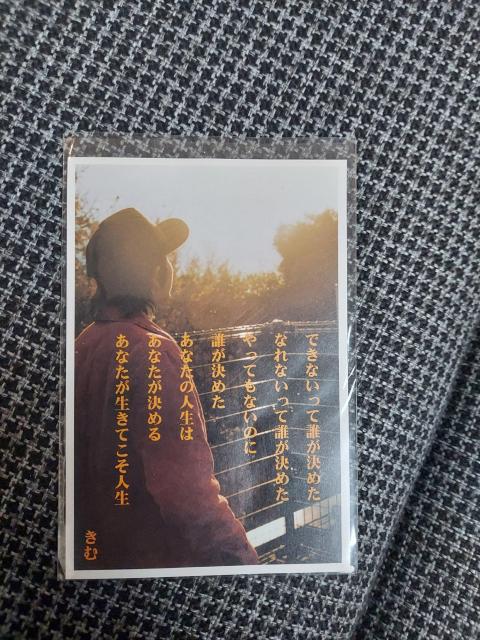 䂤pPbg݁|XgJ[h3Zbg  zr[ 