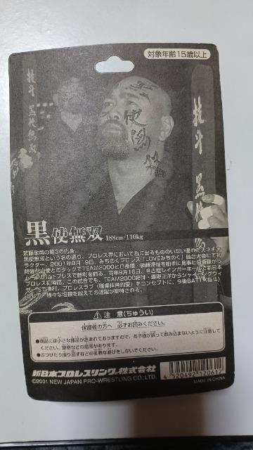 ViJhi R̉g gotBMA2001to  zr[ 