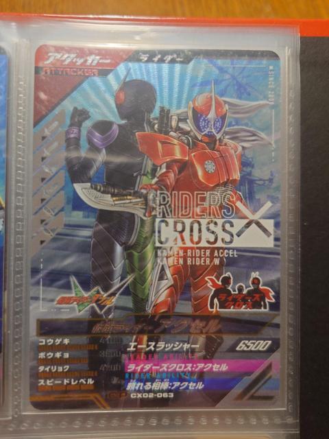 KoWFYCX02-063ʃC_[ANZ   g[fBOJ[h 