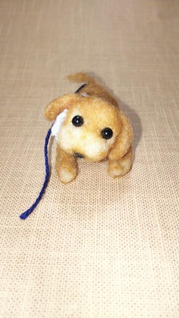 nhChrуtFgʃCkS[fgo[̏̎qX~j`Aʂ݃TCY55mm|  ybg/|/| 