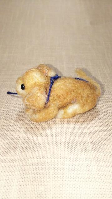 nhChrуtFgʃCkS[fgo[̏̎qX~j`Aʂ݃TCY55mm|  ybg/|/| 