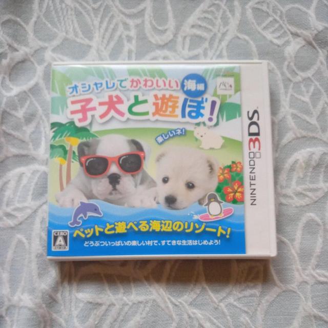 3DS �p�I�V�����ł��킢���q���ƗV�ځI�C��  �� �Q�[���{��/�\�t�g�� 