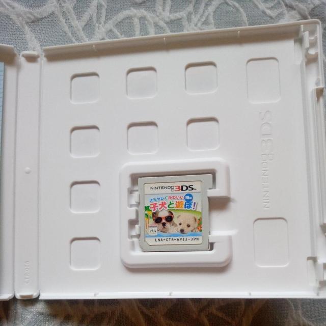 3DS �p�I�V�����ł��킢���q���ƗV�ځI�C�� �� �Q�[���{��/�\�t�g�� 