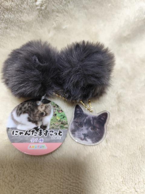 にゃんたますこっと キーホルダー サバトラ プライズ品 < 女性ファッション にゃんたますこっと キーホルダー サバトラ プライズ品 < 女性ファッションの