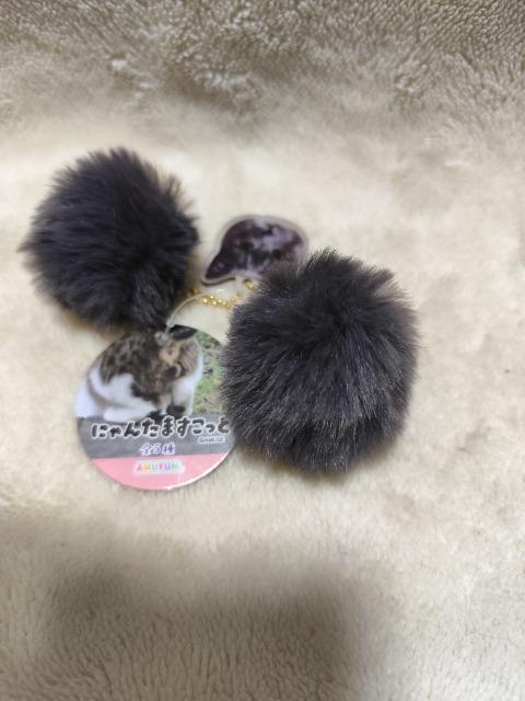 にゃんたますこっと キーホルダー サバトラ プライズ品 < 女性ファッション にゃんたますこっと キーホルダー サバトラ プライズ品 < 女性ファッションの