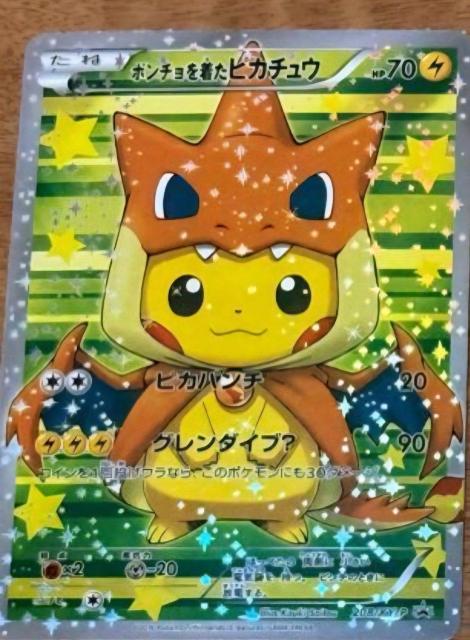 �|�`�����𒅂��s�J�`���E  �� �g���[�f�B���O�J�[�h�� 