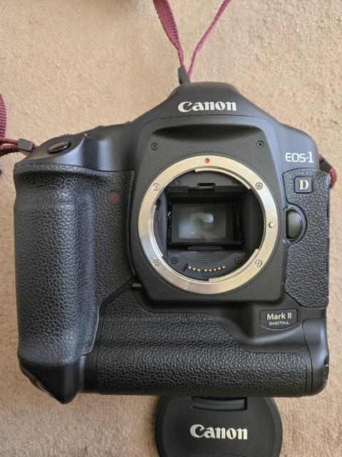 CanonEOS 1D�@Mark2�t���Z�b�g �� �Ɠd/AV�� 