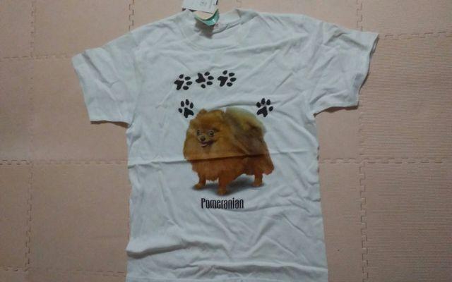新品 Pomeranian ポメラニアン < 男性ファッション  新品 Pomeranian ポメラニアン  < 男性ファッションの