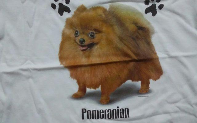 新品 Pomeranian ポメラニアン < 男性ファッション  新品 Pomeranian ポメラニアン < 男性ファッションの