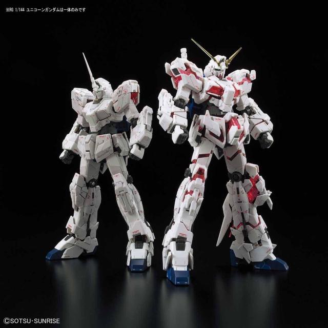RG 1/144 jR[K_mv~AhjR[[hh{bNXn  zr[ 