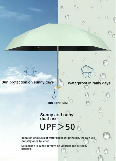 ܂肽ݎP Pp sN RpNg O UV  t@bV 