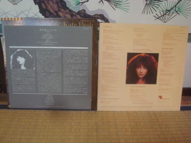 CIEn[giLIONHEARTj/ PCgEubViKATE BUSHj ѕtLP  CD/DVD/rfI 