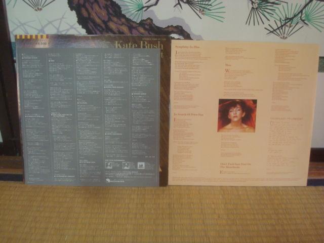 CIEn[giLIONHEARTj/ PCgEubViKATE BUSHj ѕtLP  CD/DVD/rfI 