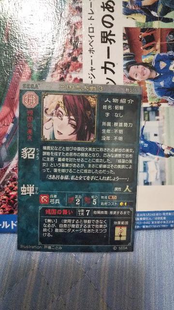 三国志大戦3 貂蝉 < トレーディングカード  三国志大戦3 貂蝉 < トレーディングカードの