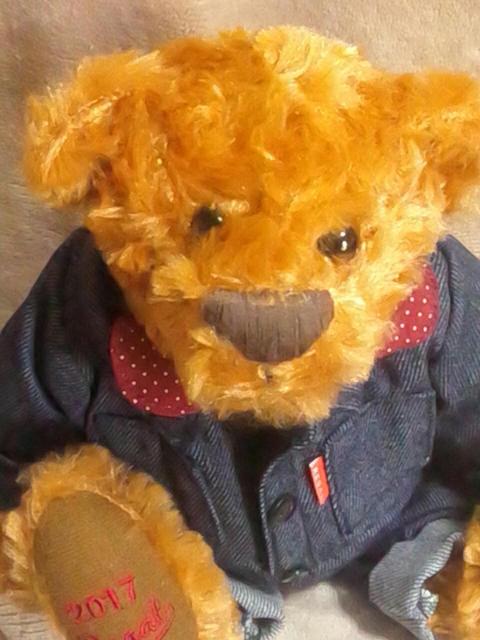 REGAL 2017f  REGALIWiefBxA DIYe[}   