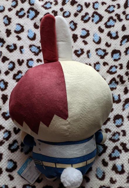 �������� �l�̃q�[���[�A�J�f�~�A�~��������R���{  �߂�����ӂ����Ƃʂ������  ���œ��~������  �q���A�J �� �A�j��/�R�~�b�N/�L�����N�^�[�� 