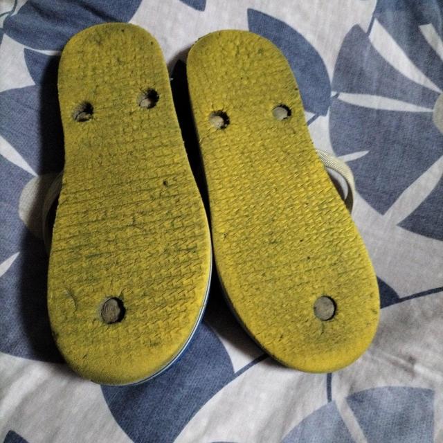 r[`T_@24cmȁ@i  LbY/xr[ 