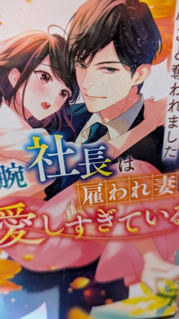 敏腕社長は雇われ妻を愛しすぎている★黒乃梓★ベリーズ文庫 < 本/雑誌 敏腕社長は雇われ妻を愛しすぎている★黒乃梓★ベリーズ文庫 < 本/雑誌の