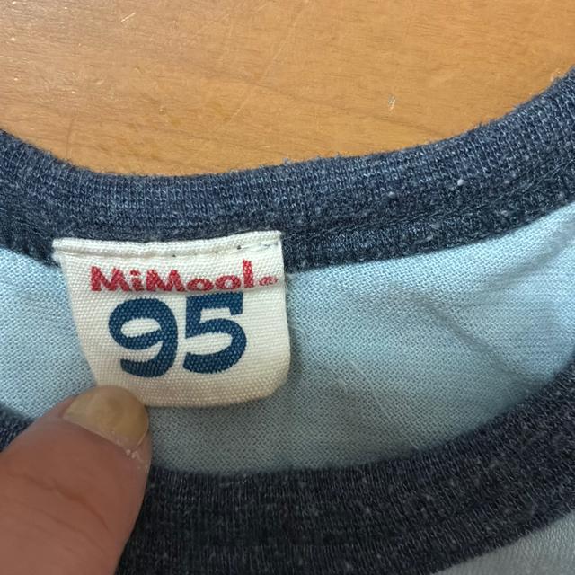 95cm̑ȂVc