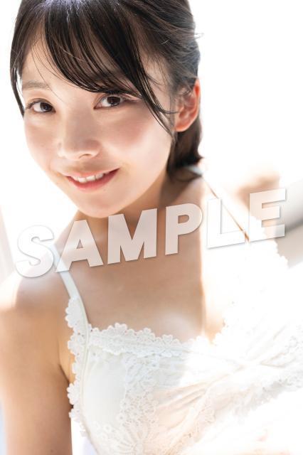 y~XFLASH2026t@CiXgziR A4ؐply_Iz 