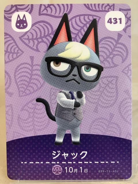 Ƃт ǂԂ̐XiǂѐXj amiboJ[h WbN   g[fBOJ[h 