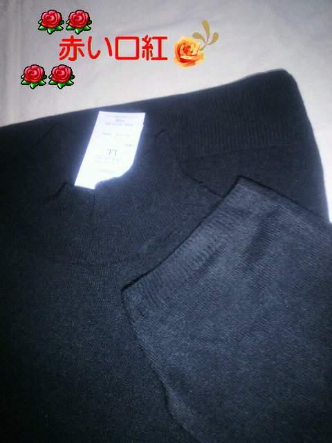 LL`E傫sizev[nClbNZ[^[ubN  t@bV 