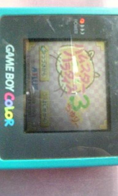 GBハムスターパラダイス3 < ゲーム本体/ソフト  GBハムスターパラダイス3 < ゲーム本体/ソフトの