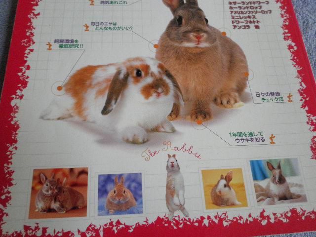".PinkyAngel^-^ETM̎犮S}jA."  ybg/|/| 