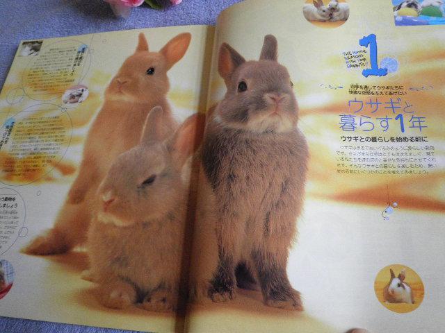 ".PinkyAngel^-^ETM̎犮S}jA."  ybg/|/| 
