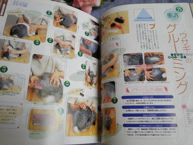 ".PinkyAngel^-^ETM̎犮S}jA."  ybg/|/| 