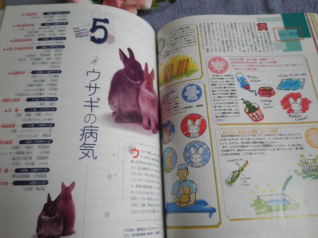 ".PinkyAngel^-^ETM̎犮S}jA."  ybg/|/| 