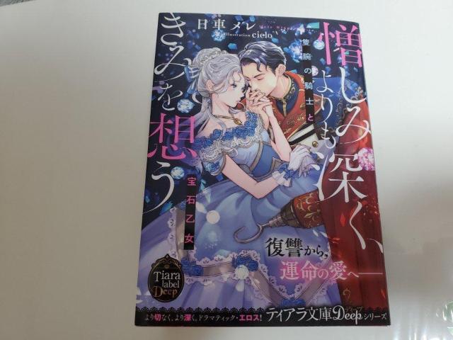 eBAɁu݂[A݂z`ǘr̋RmƕΉ`vԃcieloCXg[V   {/G 