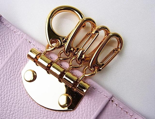 �����K�T�}���T�^�o�T�v�`�`���C�X�O���b�^�[�������U�[�V���[�Y (�L�[�P�[�X)�ɔ�������Ɩ�L�@�i1�j