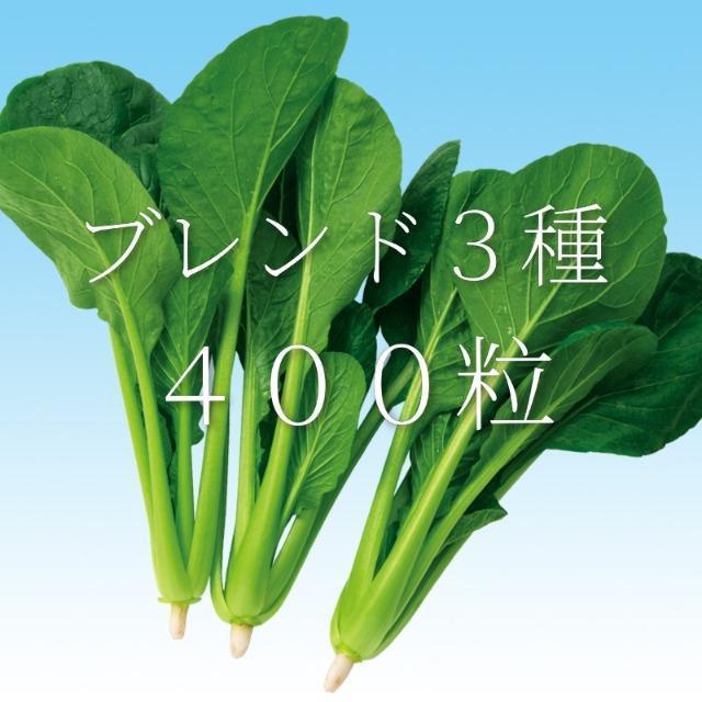 �u�����h�R��S�O�O���~�R�p�b�N�{���S���S�����z���ł��_(^o^)�^  �� �y�b�g/��|/���|�� 