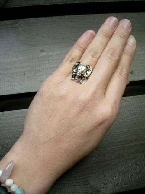 10`18@Vo[O  jANZT[/v 