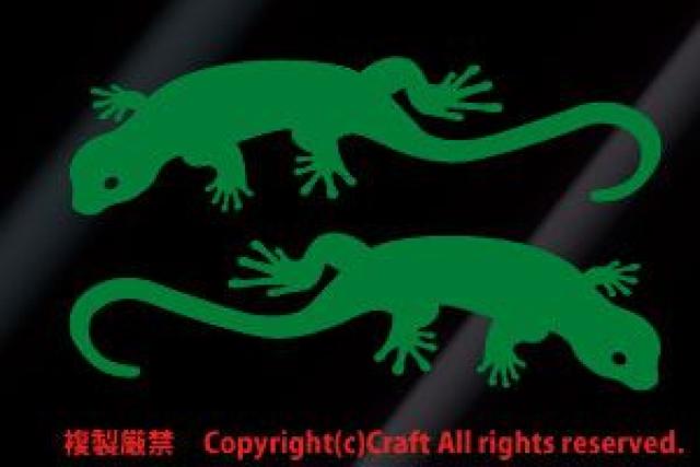 Lizard AgJQ XebJ[i/15cmjE1g  /oCN