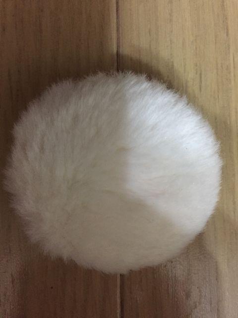 Paul&Joe |[&W[ F{ pE_[~jpt  uh 