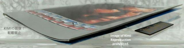 バトルランナー The Running Man 映画 パンフレット 本 1987 アーノルド シュワルツェネッガー The Run < ホビー バトルランナー The Running Man 映画 パンフレット 本 1987 アーノルド シュワルツェネッガー The Run < ホビーの