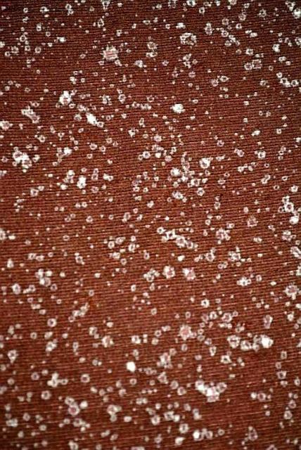 【最高級】美品 紬 たたき染め 小紋 身丈157.5cm 裄丈62.5cm T3377 < 女性ファッション  【最高級】美品 紬 たたき染め 小紋 身丈157.5cm 裄丈62.5cm T3377 < 女性ファッションの