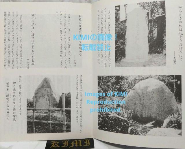 びわ湖堅田 湖族の郷 句碑めぐり 単行本 1992年 びわこ かたた こぞく < 本/雑誌  びわ湖堅田 湖族の郷 句碑めぐり 単行本 1992年 びわこ かたた こぞく < 本/雑誌の